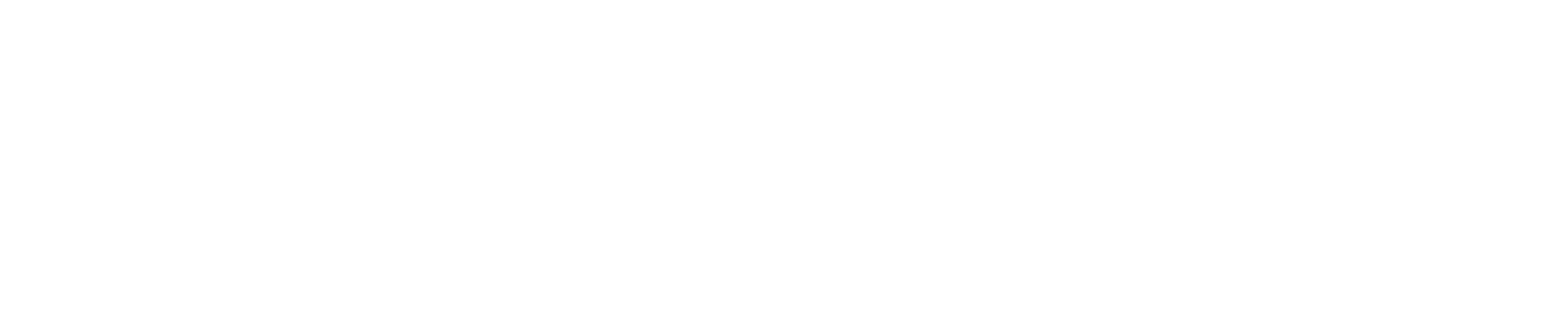TOUGHZONE